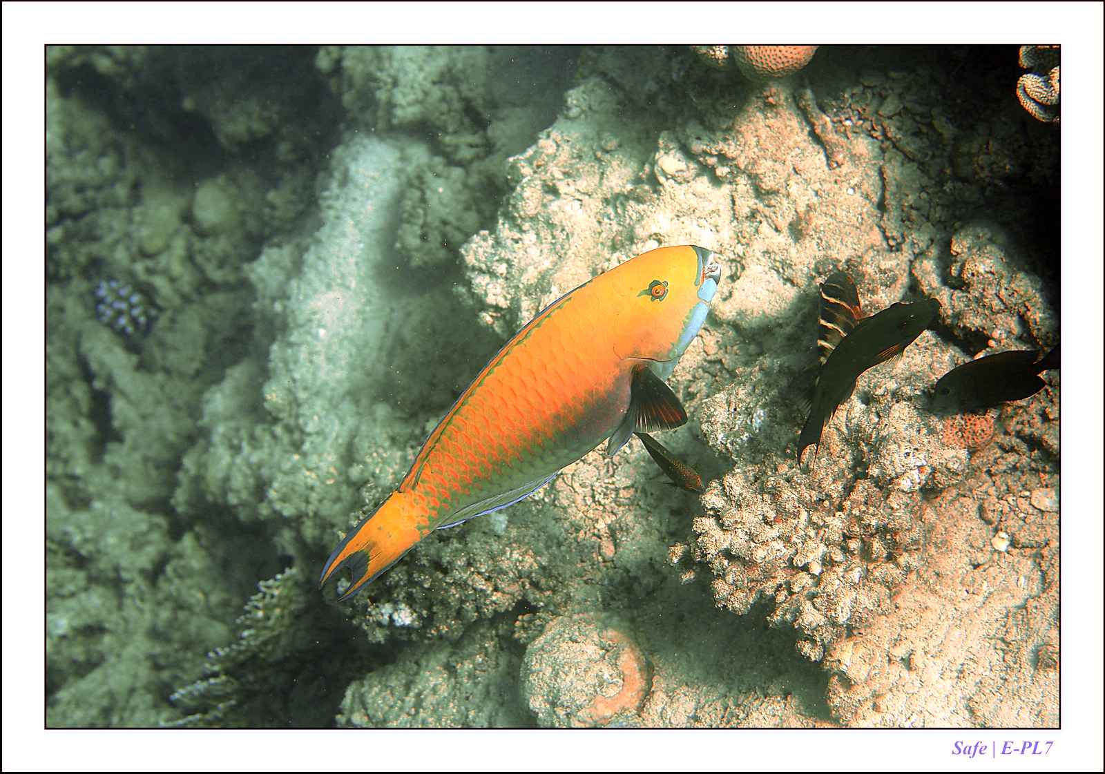 Hurghada - Juillet 2021 - 045